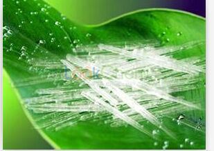 Buy high quality of  D-menthol